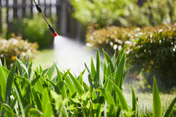 24/7 Emergency Wasp Removal experts in Mamou, LA