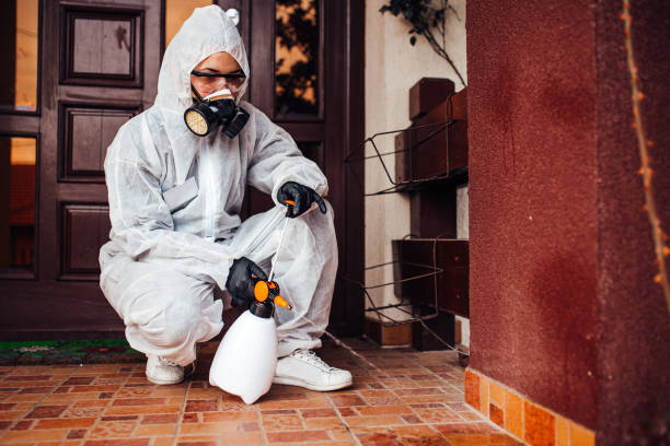 Reliable Wasp Removal contractor in Mamou, LA by Show Me Pest Control